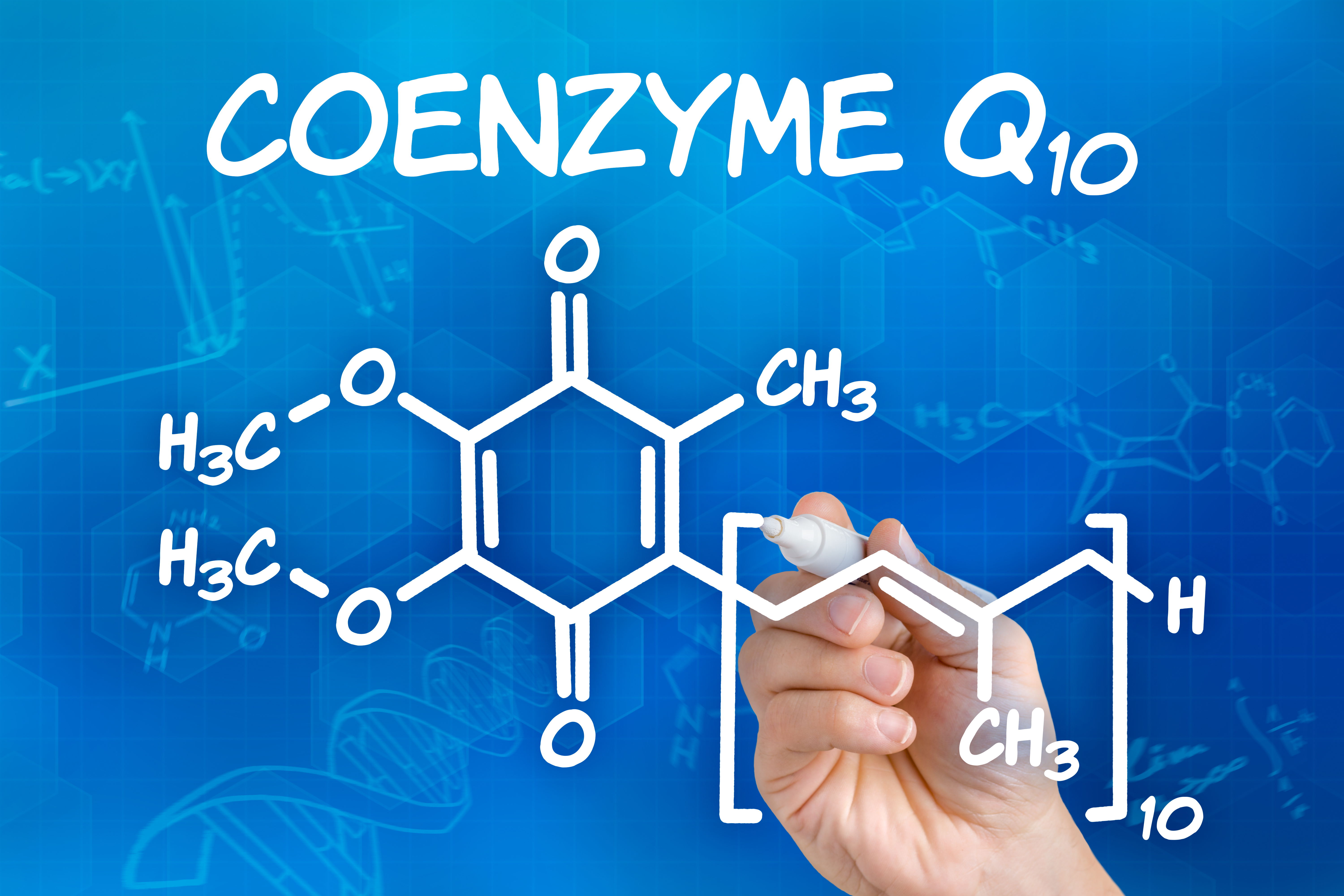 What is Coenzyme Q 10?